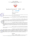 Vista preliminar de documento RD Nº001082 06-03-2023