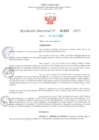 Vista preliminar de documento RD Nº001087 06-03-2023