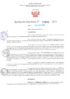 Vista preliminar de documento RD Nº001088 06-03-2023