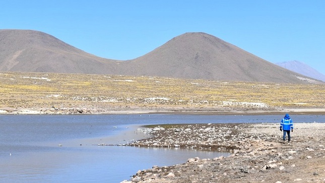 Arequipa