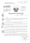 Vista preliminar de documento R.D. N° 100-2019-HNDAC pdf