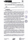 Vista preliminar de documento rd193-2024