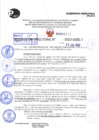 Vista preliminar de documento R.D 1411-2022