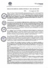 Vista preliminar de documento RGGR475