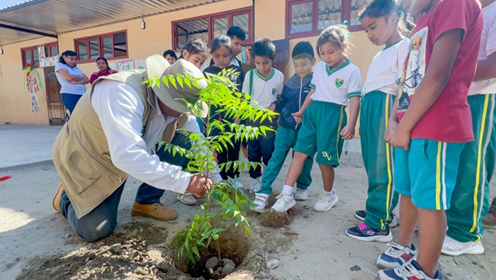 Programa de actividades