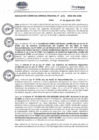 Vista preliminar de documento RGGR476