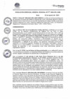 Vista preliminar de documento RGGR477