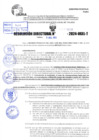 Vista preliminar de documento R.D 1619-2024