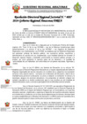 Vista preliminar de documento RESOLUCION DE OFICIAL DE INTEGRIDAD DREA