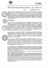 Vista preliminar de documento RGGR480