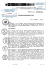 Vista preliminar de documento R.D.N.295-2024-INSN-DG