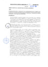 Vista preliminar de documento rgm20331
