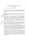 Vista preliminar de documento rgm20332