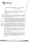 Vista preliminar de documento rgm20335