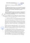 Vista preliminar de documento rgm20334