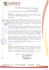Vista preliminar de documento rgm20341