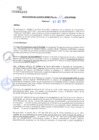 Vista preliminar de documento rgm20350