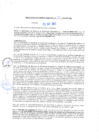 Vista preliminar de documento rgm20351