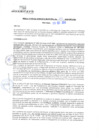 Vista preliminar de documento rgm20357