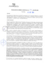 Vista preliminar de documento rgm20358
