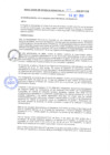 Vista preliminar de documento rgm20367
