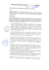 Vista preliminar de documento rgm20370