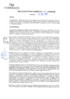 Vista preliminar de documento rgm20371