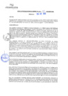Vista preliminar de documento rgm20411