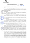 Vista preliminar de documento rgm20413