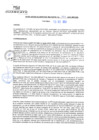 Vista preliminar de documento rgm20424
