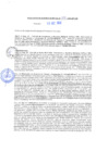 Vista preliminar de documento rgm20426