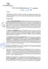 Vista preliminar de documento rgm20433