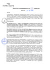 Vista preliminar de documento rgm20435