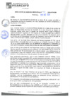 Vista preliminar de documento rgm20455