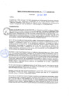 Vista preliminar de documento rgm20437