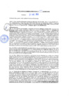 Vista preliminar de documento rgm20460