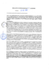 Vista preliminar de documento rgm20465