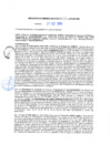 Vista preliminar de documento rgm20466