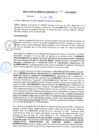 Vista preliminar de documento rgm20490