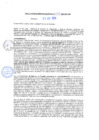 Vista preliminar de documento rgm20478