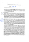 Vista preliminar de documento rgm20476