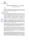 Vista preliminar de documento rgm20470