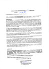Vista preliminar de documento rgm20497