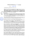 Vista preliminar de documento rgm20472