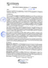 Vista preliminar de documento rgm20513