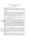 Vista preliminar de documento rgm20530
