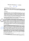 Vista preliminar de documento rgm20534