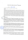 Vista preliminar de documento rgm20535