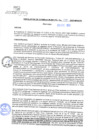 Vista preliminar de documento rgm20549