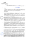Vista preliminar de documento rgm20553